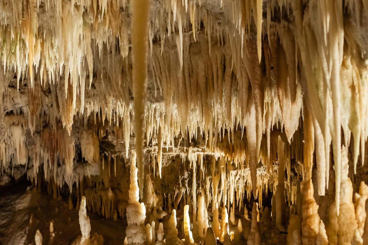 Casa Di Sofia Ξενοδοχείο Castellana Grotte Εξωτερικό φωτογραφία