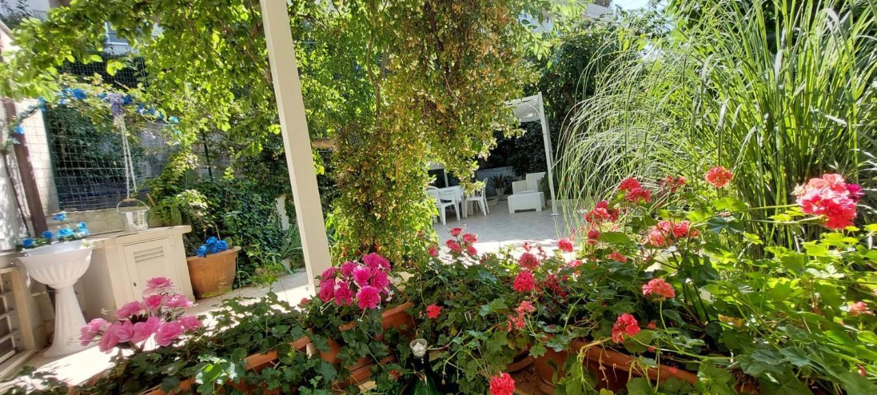 Casa Di Sofia Ξενοδοχείο Castellana Grotte Εξωτερικό φωτογραφία