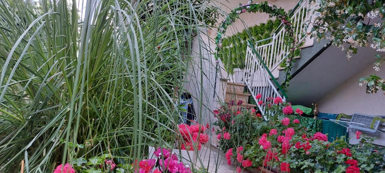 Casa Di Sofia Ξενοδοχείο Castellana Grotte Εξωτερικό φωτογραφία
